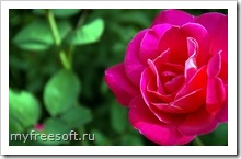 Just-For-You